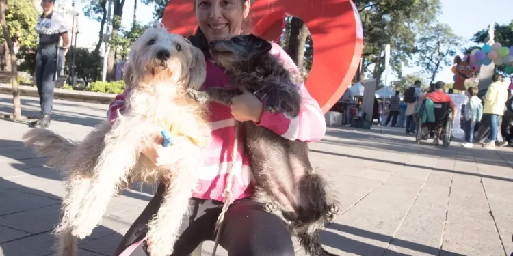 Vecinos y sus animales de compañía compartieron una tarde especial en la Plaza Independencia