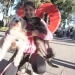 Vecinos y sus animales de compañía compartieron una tarde especial en la Plaza Independencia