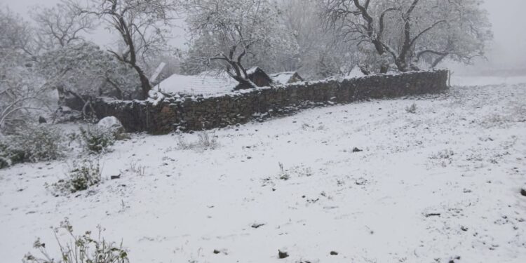  La nieve vuelve a sorprender a San Pedro de Colalao