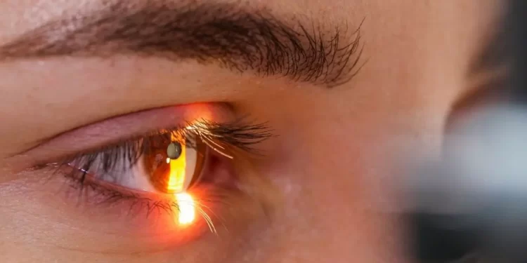 Una IA española ayuda a anticipar infartos e ictus con una simple imagen de la retina