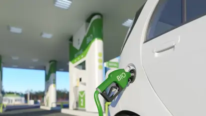 Biocombustibles: El gobierno envió un proyecto que incrementa el corte obligatorio
