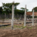 Se encuentran en ejecución 1.800 viviendas en Tucumán
