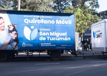 Dónde se ofrecerá el servicio de castración para animales de compañía la próxima semana, hasta el 15 de mayo