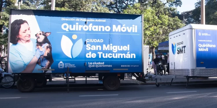 Dónde se ofrecerá el servicio de castración para animales de compañía la próxima semana, hasta el 15 de mayo