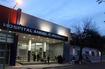 Donación de órganos récord en Argentina: destacan al Hospital Padilla