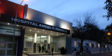 Donación de órganos récord en Argentina: destacan al Hospital Padilla