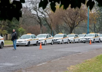 Avanza el reempadronamiento de taxis y la actualización del registro del transporte individual en automóviles