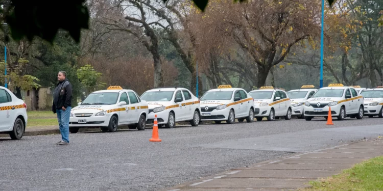 Avanza el reempadronamiento de taxis y la actualización del registro del transporte individual en automóviles