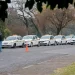 Avanza el reempadronamiento de taxis y la actualización del registro del transporte individual en automóviles
