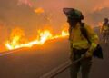 Voraz incendio forestal en Jujuy: ráfagas de viento zonda obligaron a cortar totalmente la ruta nacional 9