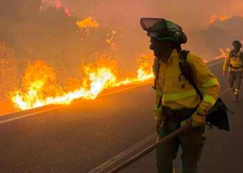 Voraz incendio forestal en Jujuy: ráfagas de viento zonda obligaron a cortar totalmente la ruta nacional 9