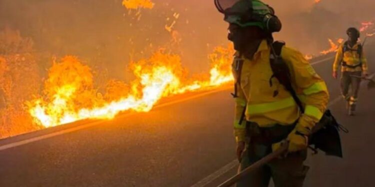 Voraz incendio forestal en Jujuy: ráfagas de viento zonda obligaron a cortar totalmente la ruta nacional 9
