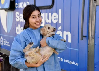 Dónde se brindará el servicio gratuito de castración para animales de compañía, del 13 al 17 de julio