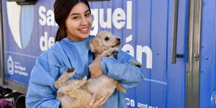 Dónde se brindará el servicio gratuito de castración para animales de compañía, del 13 al 17 de julio