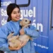 Dónde se brindará el servicio gratuito de castración para animales de compañía, del 13 al 17 de julio