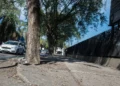 En la zona del ex Abasto iniciarán tareas de revalorización urbana