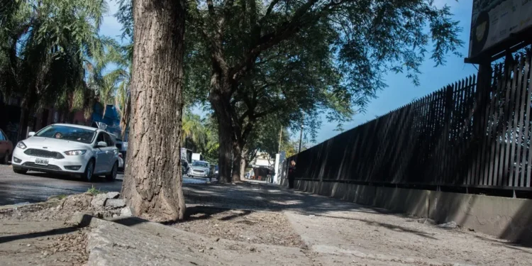 En la zona del ex Abasto iniciarán tareas de revalorización urbana