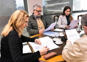 La Legislatura avanza en un proyecto unificado para proteger a niños y adolescentes en entornos digitales