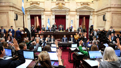 El Senado aprobó la ley de propiedad privada, pero el Gobierno eliminó otro capítulo