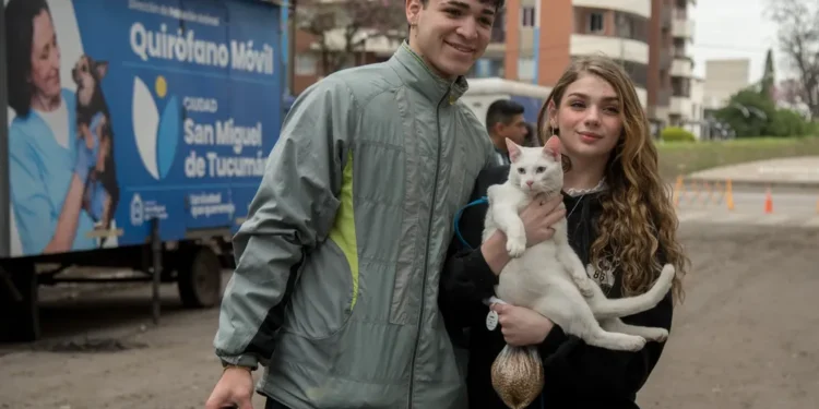 Dónde se ofrecerá el servicio de esterilización para animales de compañía, del 10 al 14 de agosto